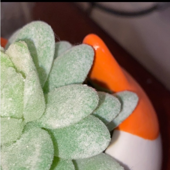 Faux/Fake Fox Succulent Home Decor - Picture 7 of 7